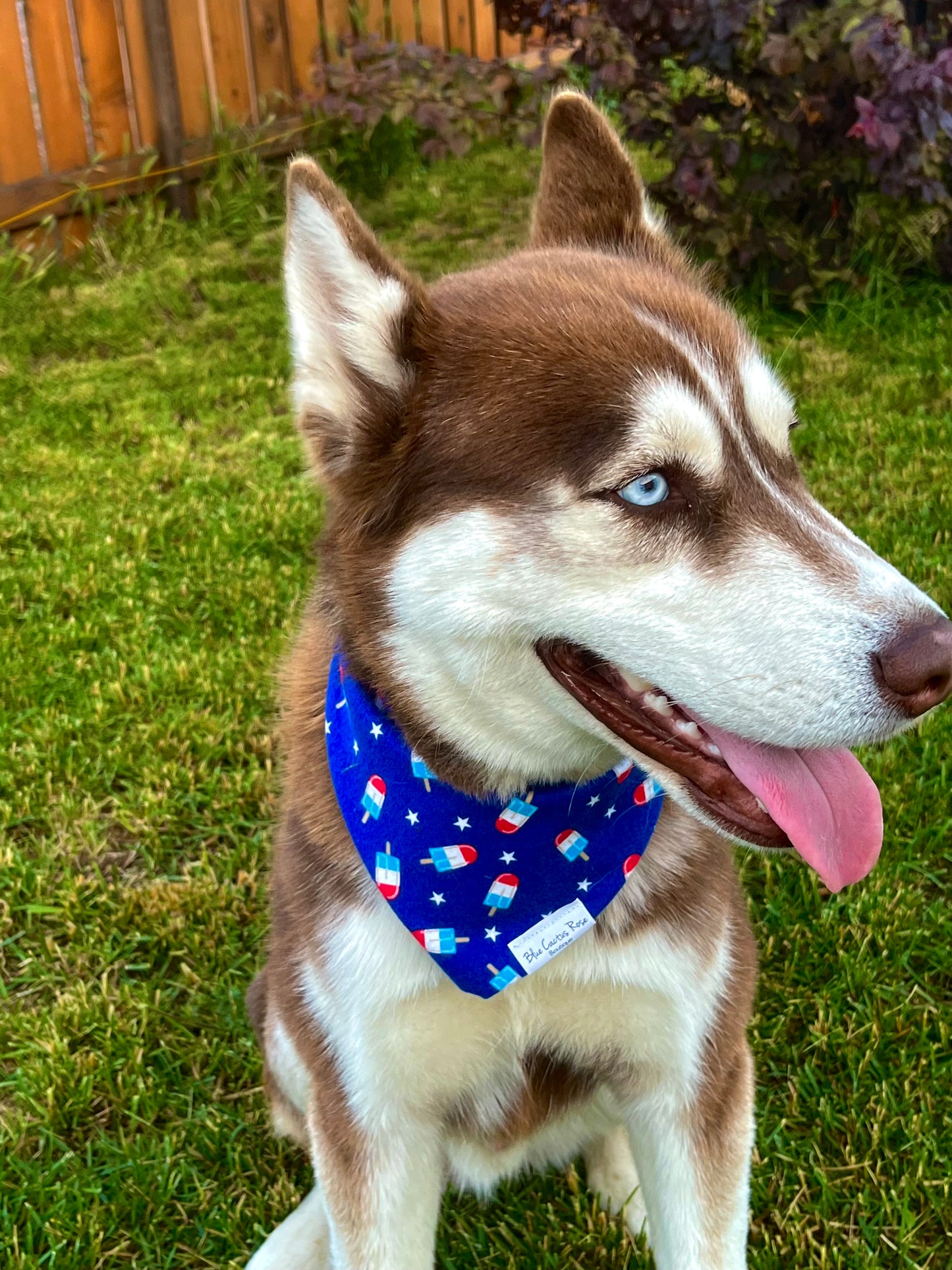 Popsicles in July Bandana (M)